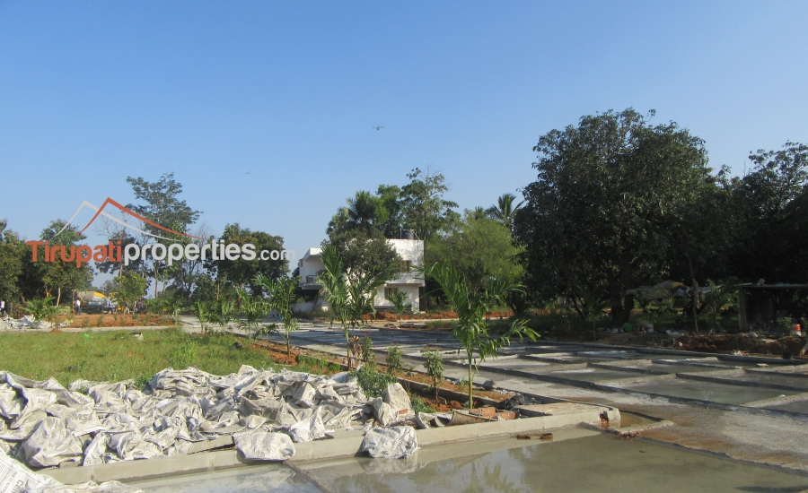 East and West Facing Plots for Sale Before Vidyanikethan College, Tirupati